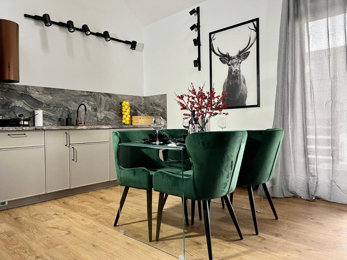 Apartamenty Maxa Czornyja イェレニャ・グーラ エクステリア 写真