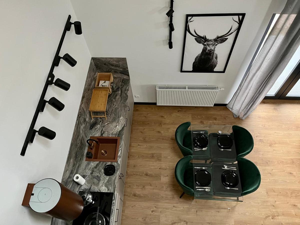 Apartamenty Maxa Czornyja イェレニャ・グーラ エクステリア 写真