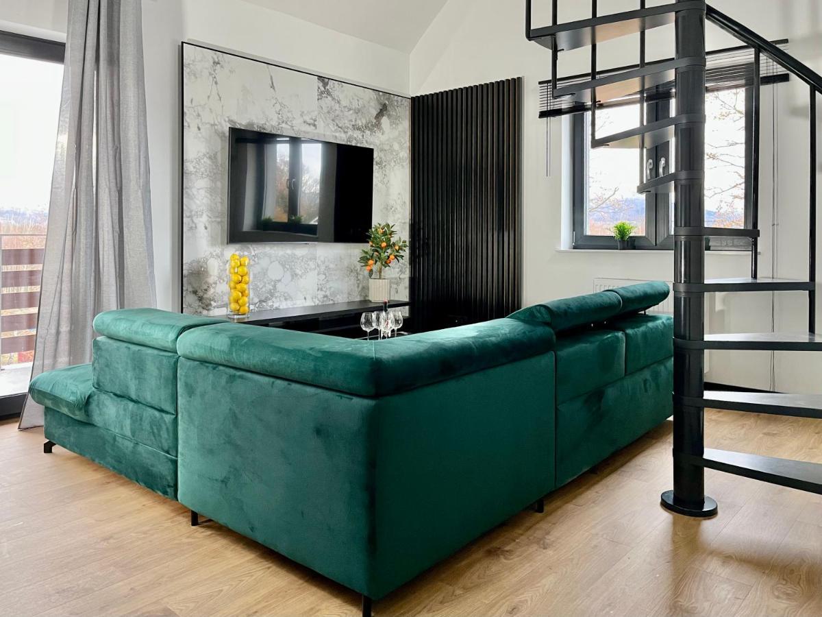Apartamenty Maxa Czornyja イェレニャ・グーラ エクステリア 写真